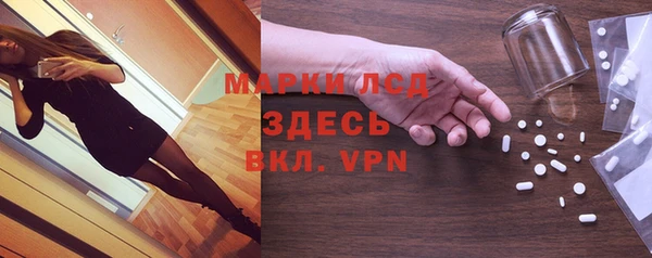 прущие грибы Баксан