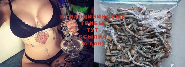 apvp Балабаново