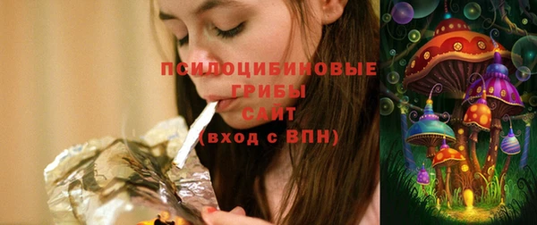 прущие грибы Баксан